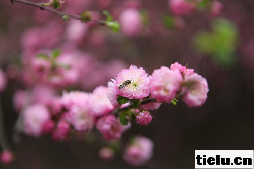 照片 117_副本.jpg