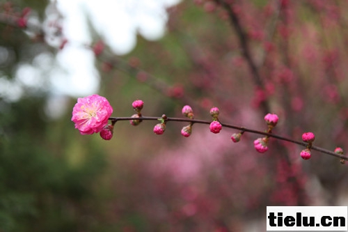 照片 083_副本.jpg