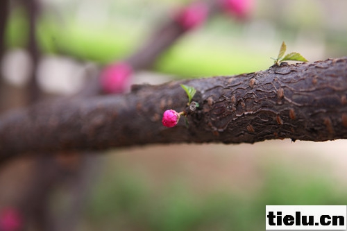 照片 075_副本.jpg