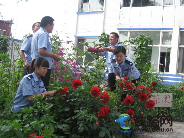 20120801195346706.jpg