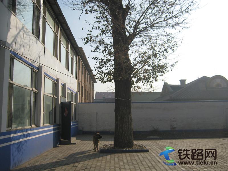 20111102110751496.jpg