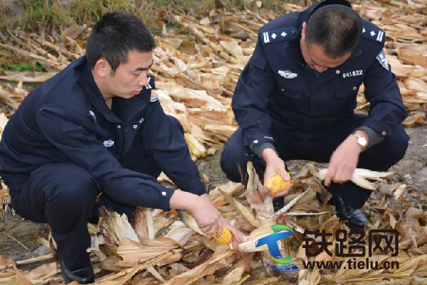 1456637012379350.jpg DSC_0935.JPG