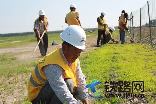 王兴海与大家一起防护路基.jpg