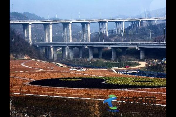 �߼����»��¾�